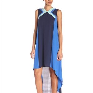 BCBG High/Low Striped Dress!